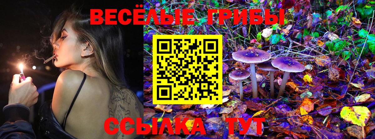 Псилоцибиновые грибы MAGIC MUSHROOMS Подольск